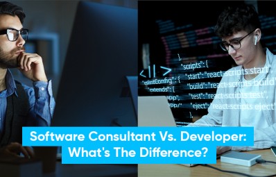 Software Consultant Vs. Developer: What's The Difference?